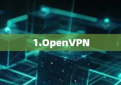 1.OpenVPN 1.OpenVPN