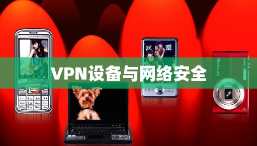 VPN设备与网络安全