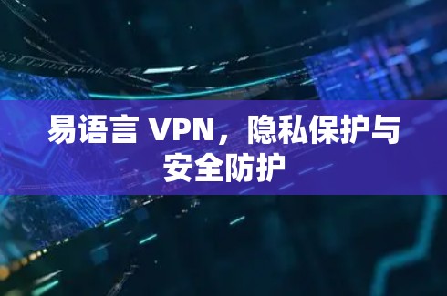 易语言 VPN，隐私保护与安全防护