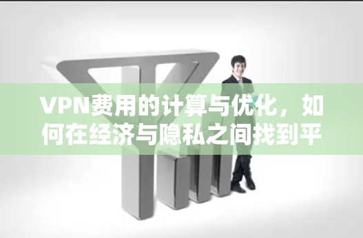 VPN费用的计算与优化，如何在经济与隐私之间找到平衡