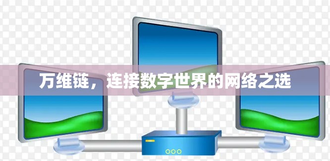 万维链，连接数字世界的网络之选