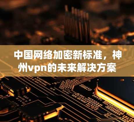 中国网络加密新标准，神州vpn的未来解决方案
