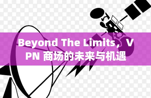 Beyond The Limits，VPN 商场的未来与机遇