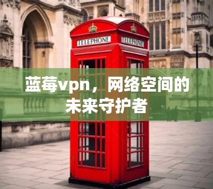 蓝莓vpn，网络空间的未来守护者