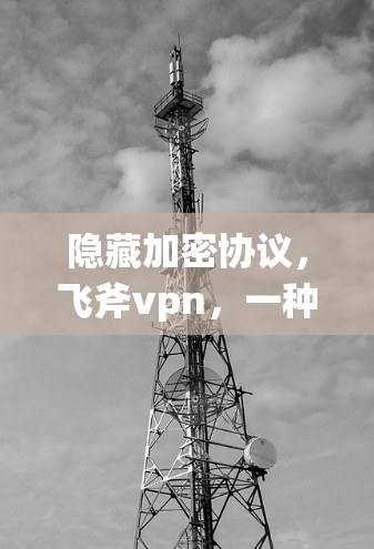 隐藏加密协议，飞斧vpn，一种高效、安全的通信加密解决方案