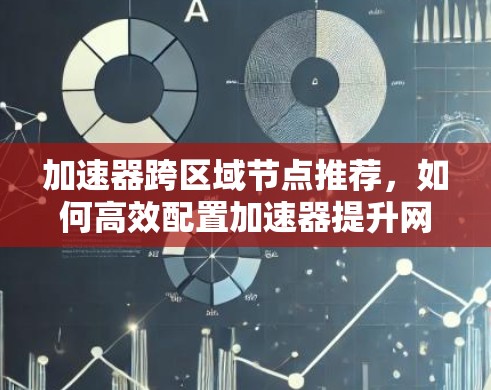 加速器跨区域节点推荐，如何高效配置加速器提升网络性能