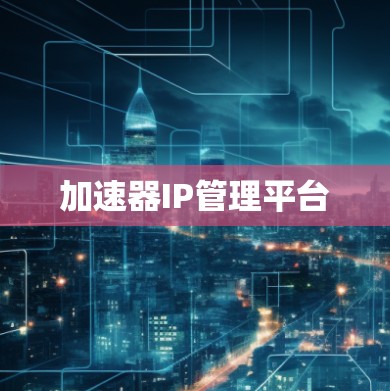 加速器IP管理平台