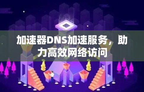 加速器DNS加速服务，助力高效网络访问