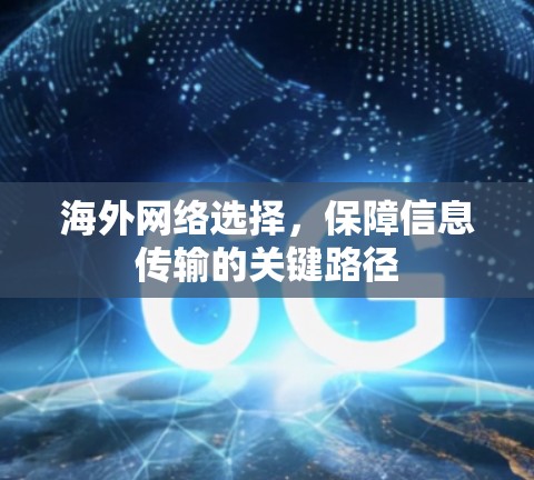 海外网络选择，保障信息传输的关键路径