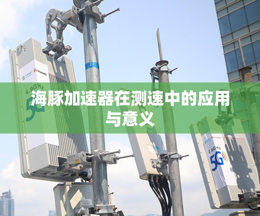 海豚加速器在测速中的应用与意义