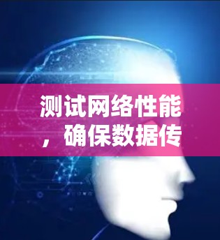 测试网络性能，确保数据传输顺畅