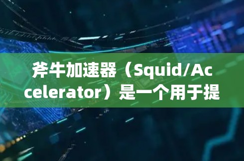 斧牛加速器（Squid/Accelerator）是一个用于提升网页加载速度的工具，广泛应用于网站优化和网站速度提升中。以下是斧牛加速器使用教程的步骤说明