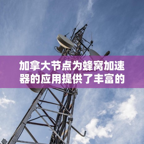 加拿大节点为蜂窝加速器的应用提供了丰富的资源和平台，适合多种科学和教育领域的研究和计算需求。以下是对加拿大节点在蜂窝加速器方面的详细介绍