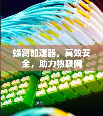 蜂窝加速器，高效安全，助力物联网