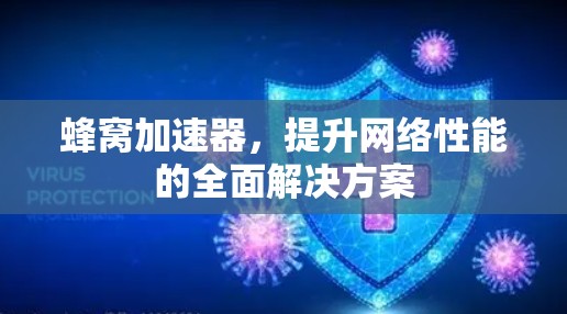 蜂窝加速器，提升网络性能的全面解决方案