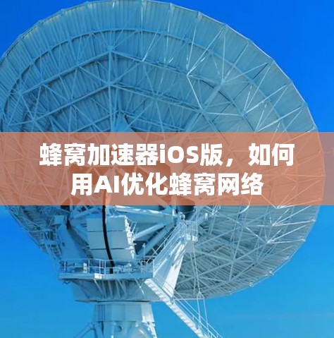 蜂窝加速器iOS版,如何用AI优化蜂窝网络 蜂窝加速器iOS版,如何用AI优化蜂窝网络