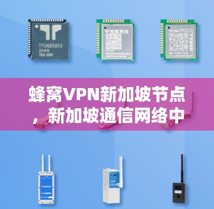 蜂窝VPN新加坡节点,新加坡通信网络中的重要角色 蜂窝VPN新加坡节点,新加坡通信网络中的重要角色