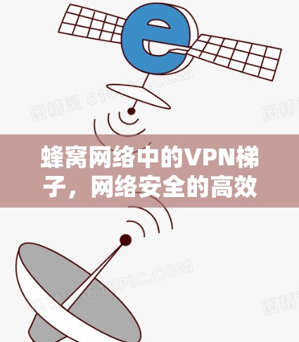 蜂窝网络中的VPN梯子,网络安全的高效配置 蜂窝网络中的VPN梯子,网络安全的高效配置