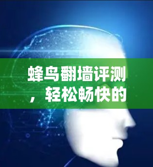 蜂鸟翻墙评测,轻松畅快的网络体验 蜂鸟翻墙评测,轻松畅快的网络体验