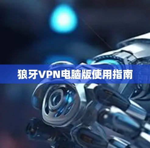 狼牙VPN电脑版使用指南 狼牙VPN电脑版使用指南