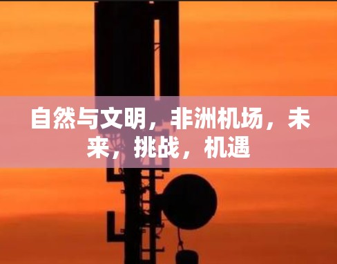 自然与文明，非洲机场，未来，挑战，机遇