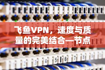 飞鱼VPN，速度与质量的完美结合—节点质量分析