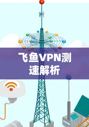 飞鱼VPN测速解析