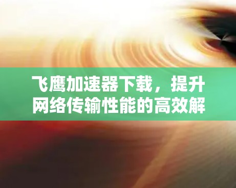 飞鹰加速器下载，提升网络传输性能的高效解决方案