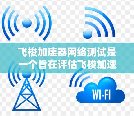 飞梭加速器网络测试是一个旨在评估飞梭加速器在特定网络环境下的性能和功能的系统。以下是对该主题的系统性解释