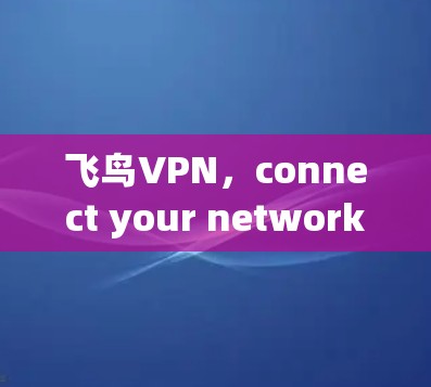 飞鸟VPN，connect your network with secure and private freedom