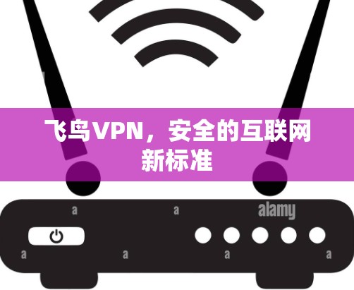 飞鸟VPN，安全的互联网新标准