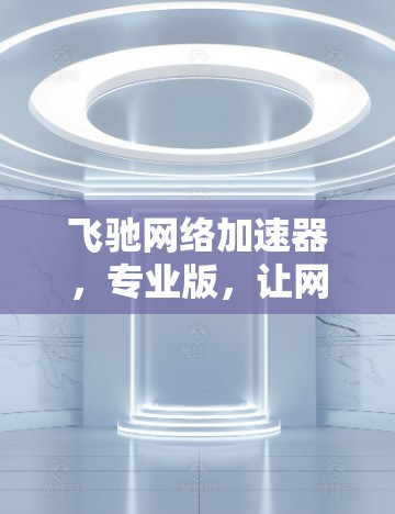 飞驰网络加速器，专业版，让网络连接更顺畅