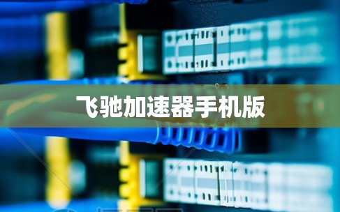飞驰加速器手机版