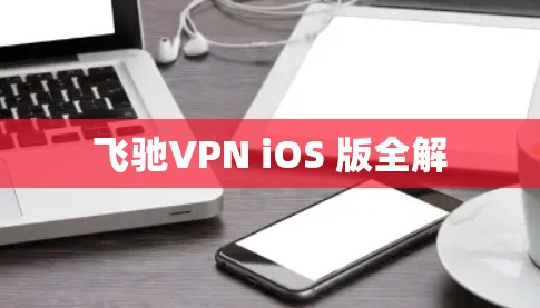 飞驰VPN iOS 版全解