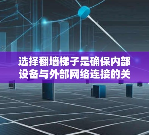 选择翻墙梯子是确保内部设备与外部网络连接的关键步骤。以下是一些步骤性的总结，帮助您更好地选择合适的翻墙梯子