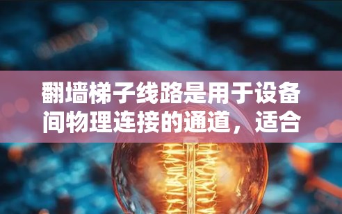 翻墙梯子线路是用于设备间物理连接的通道，适合需要详细的设备配置和维护的场景。以下是关于翻墙梯子线路配置的详细步骤和解释
