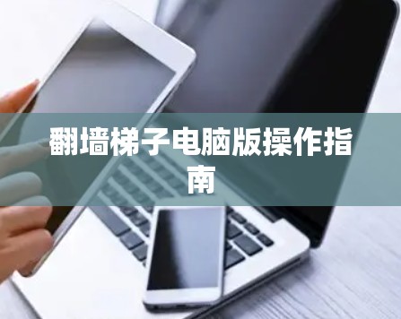 翻墙梯子电脑版操作指南