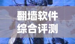 翻墙软件综合评测
