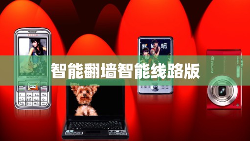 智能翻墙智能线路版