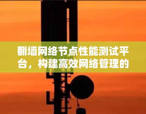 翻墙网络节点性能测试平台，构建高效网络管理的新范式