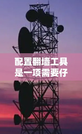 配置翻墙工具是一项需要仔细操作的工程，以下是完整流程的分步指南